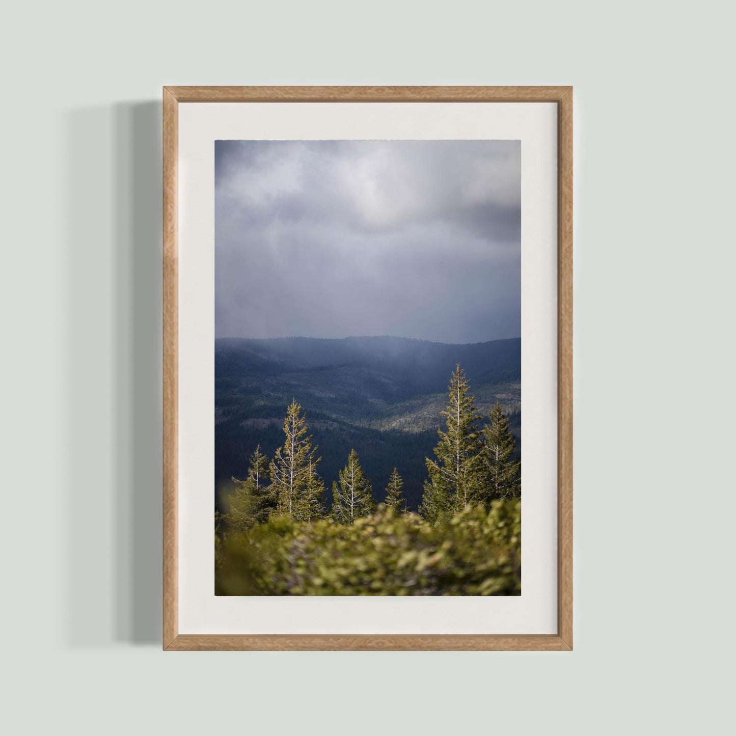 April 26 2026 - Plumas National Forest, California