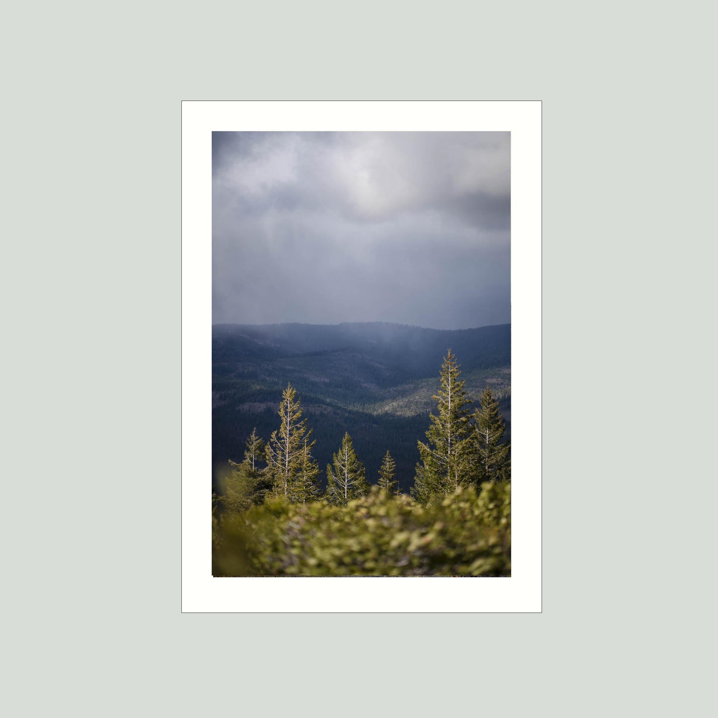 April 26 2026 - Plumas National Forest, California