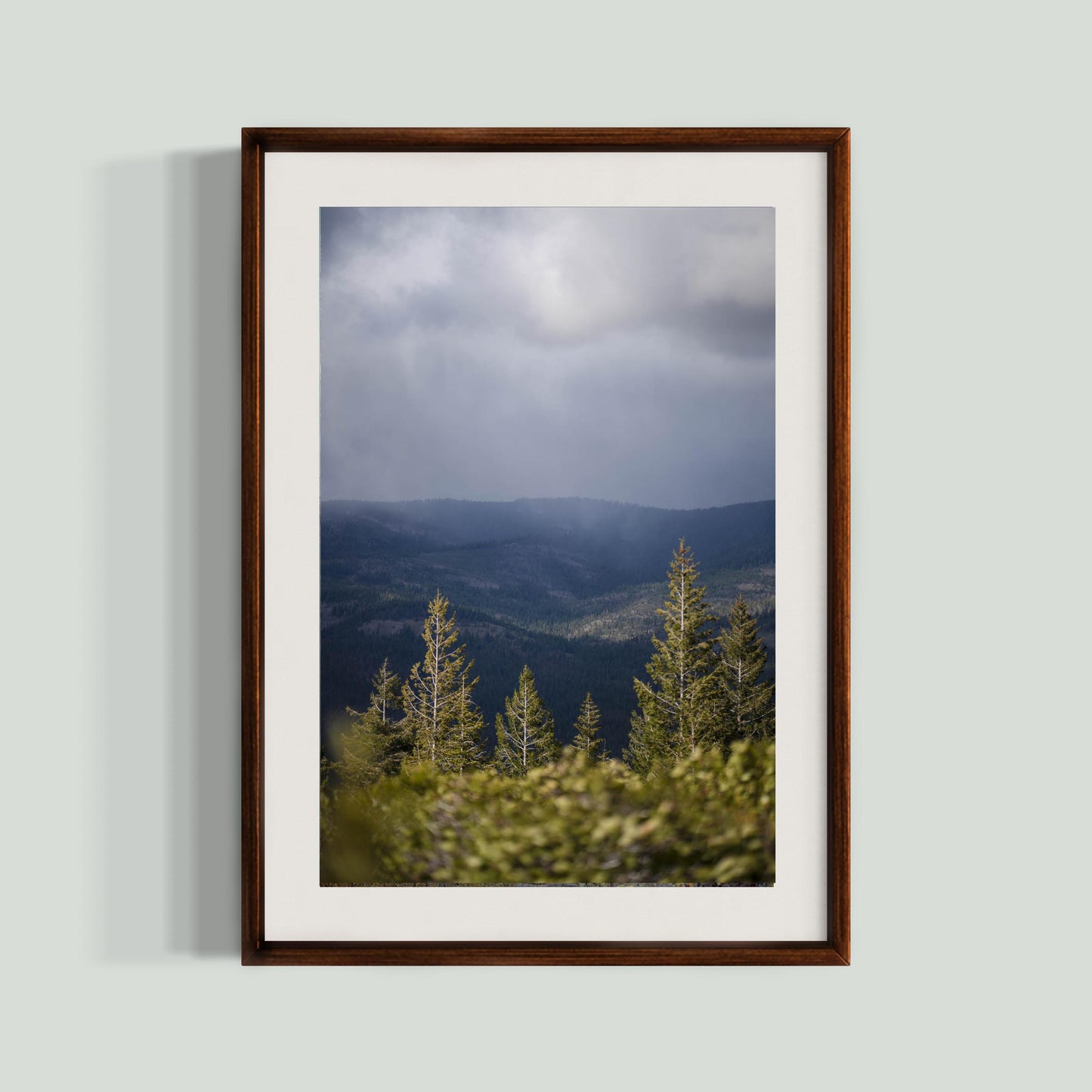 April 26 2026 - Plumas National Forest, California