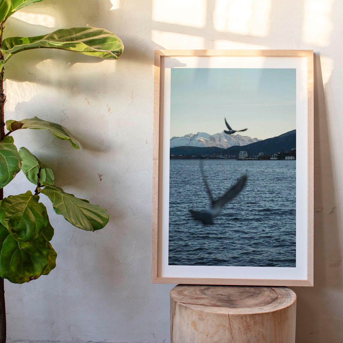 December 12, 2018 - Alesund, Norway