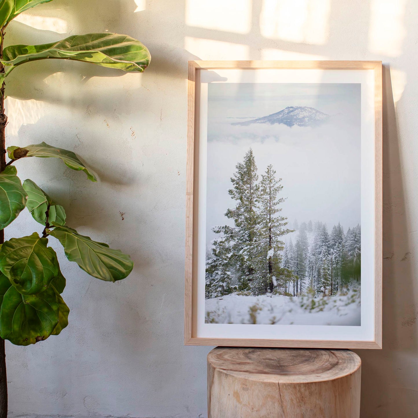 December 25 2024 - Plumas-Eureka State Park,  California