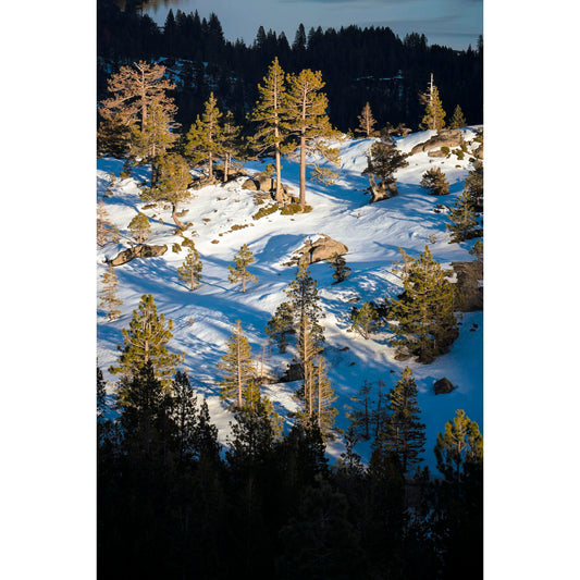 January 22 2026 - Truckee, California