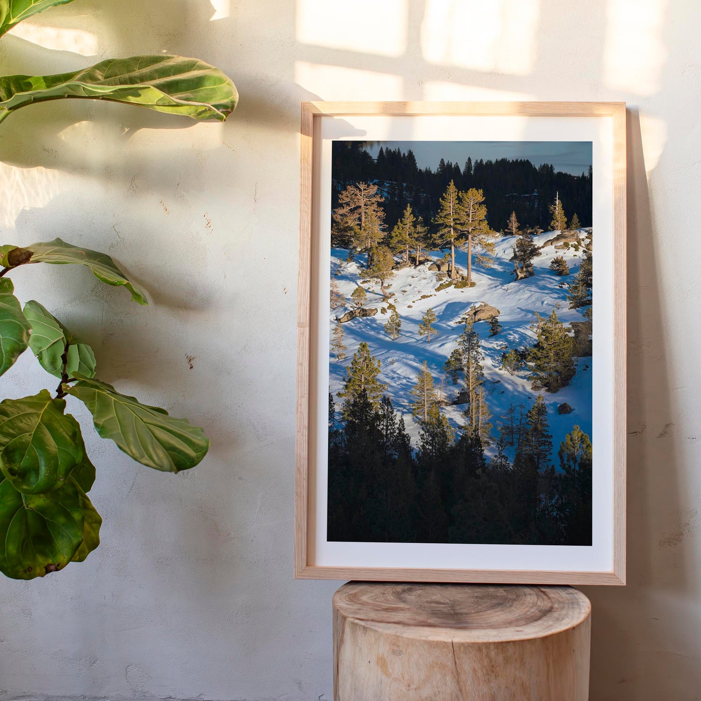 January 22 2026 - Truckee, California