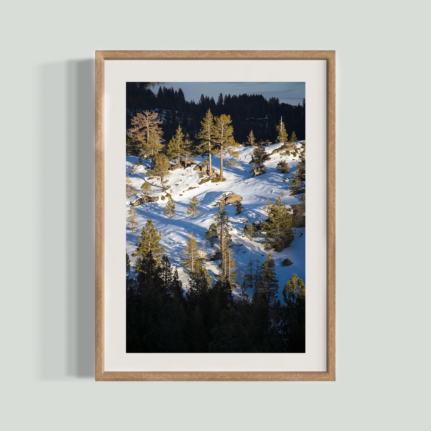January 22 2026 - Truckee, California