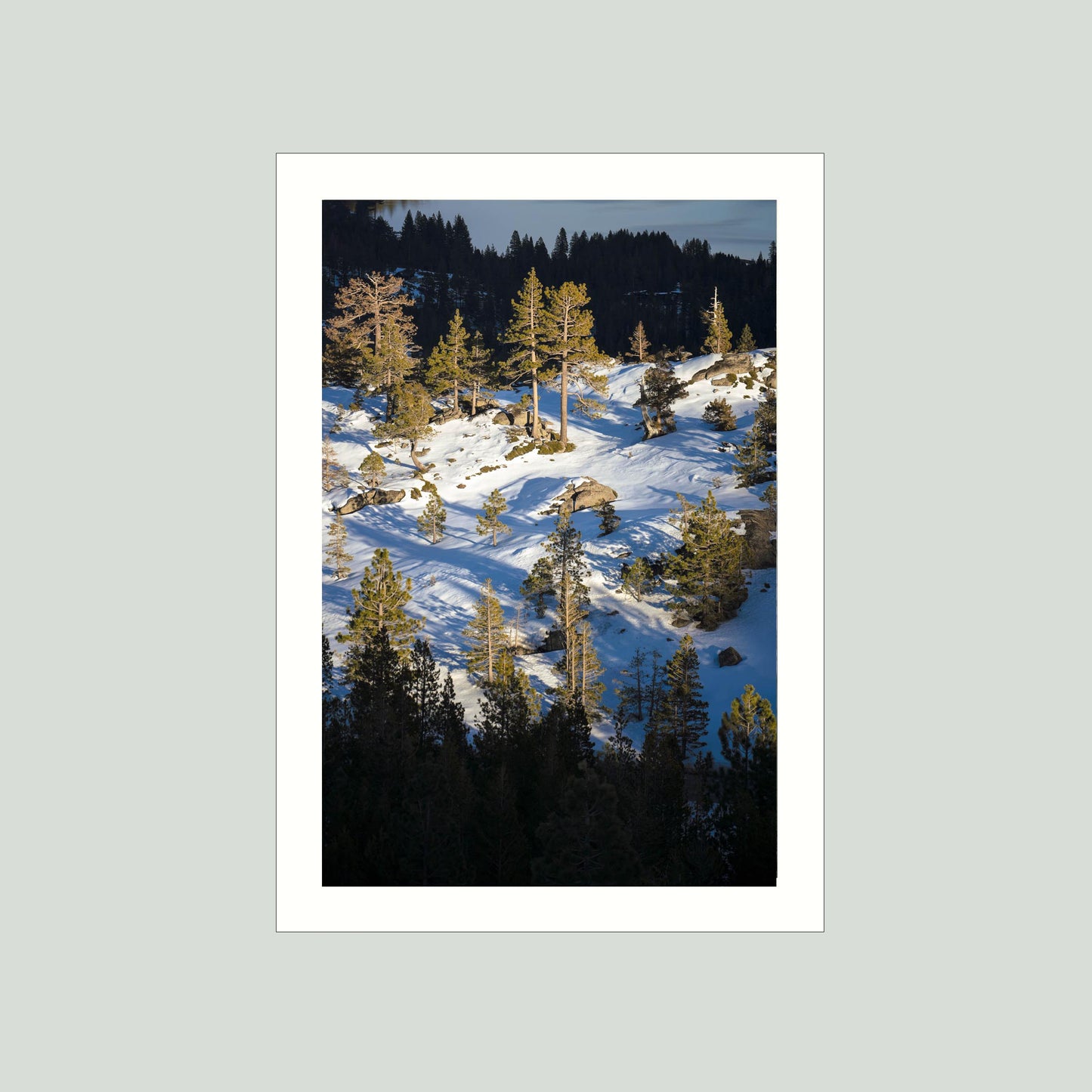January 22 2026 - Truckee, California