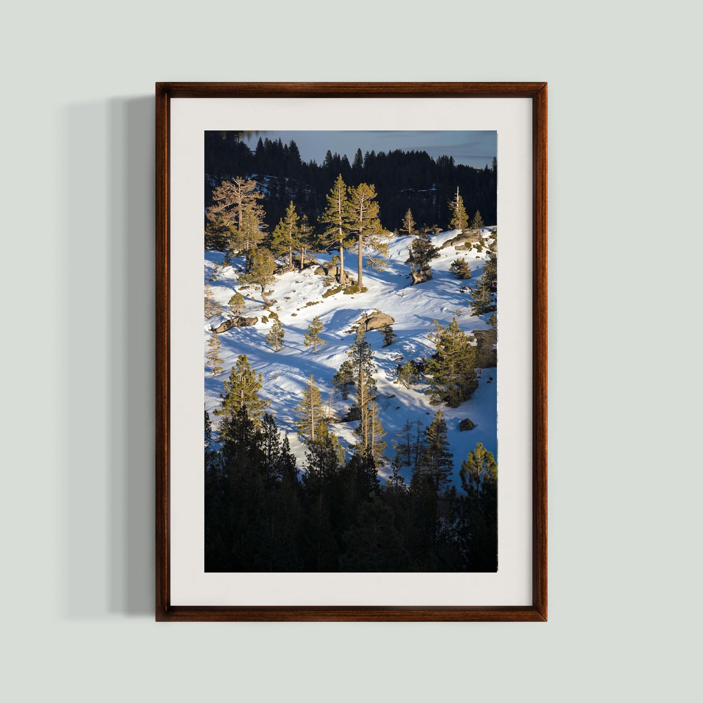 January 22 2026 - Truckee, California