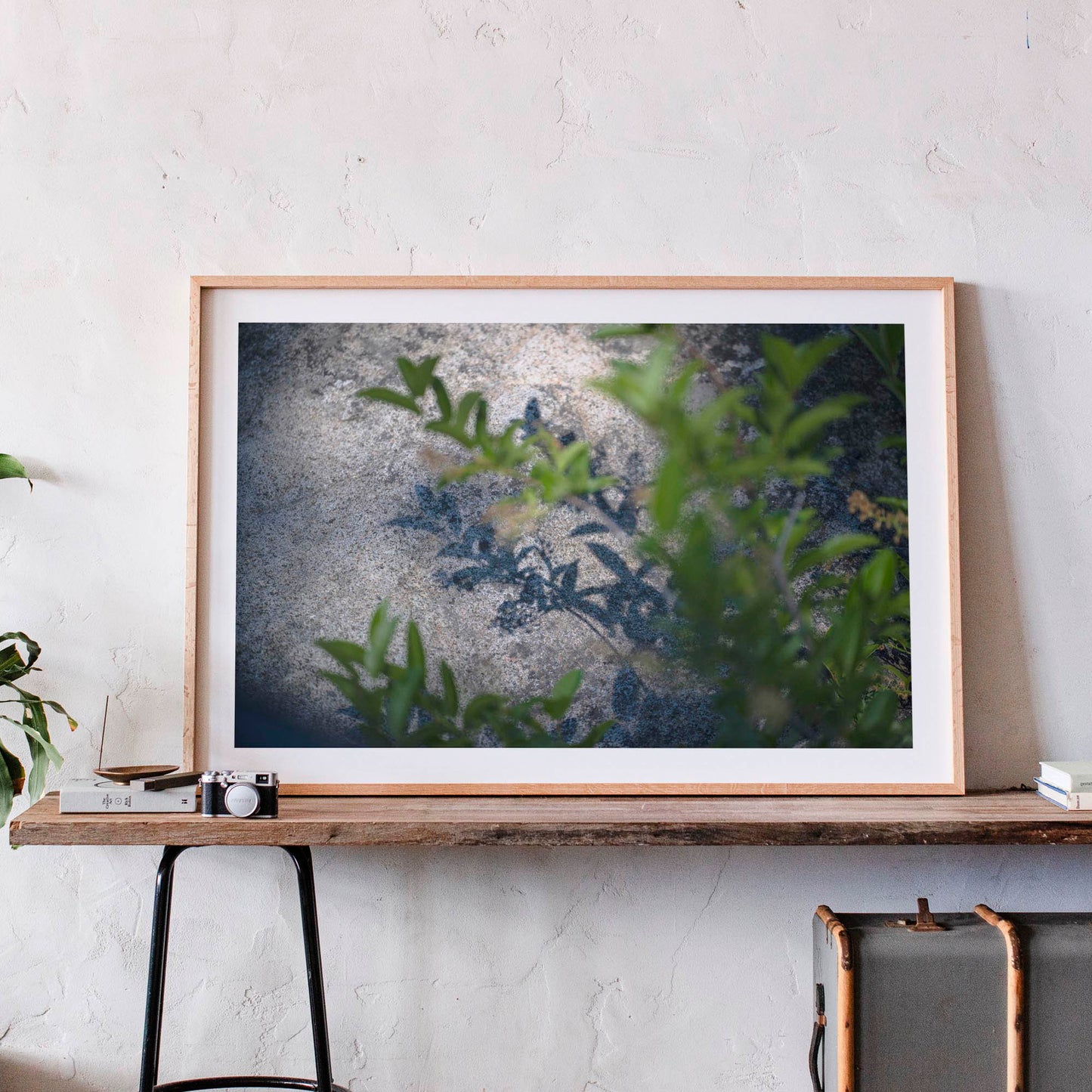 June 17 2022 - Truckee, California