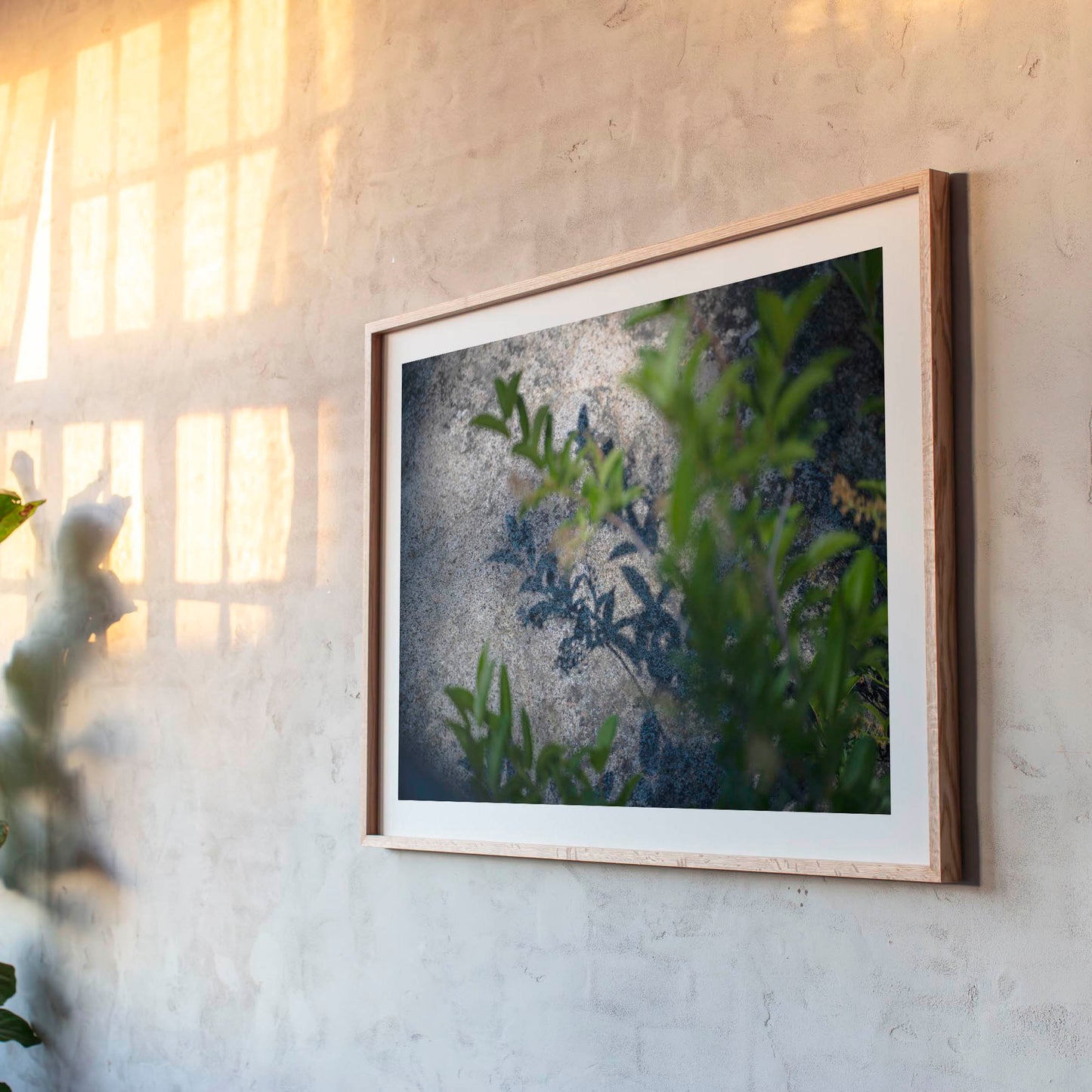 June 17 2022 - Truckee, California