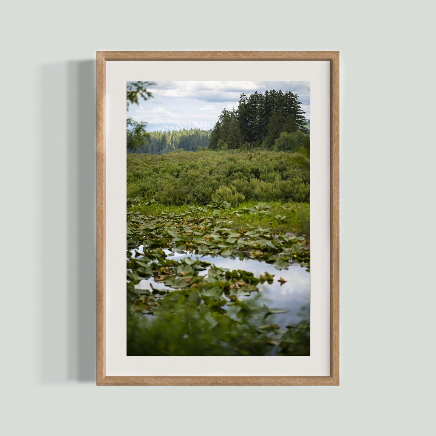 June 19 2025 - Seaquest State Park, Washington