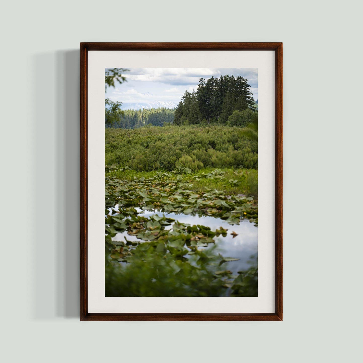 June 19 2025 - Seaquest State Park, Washington