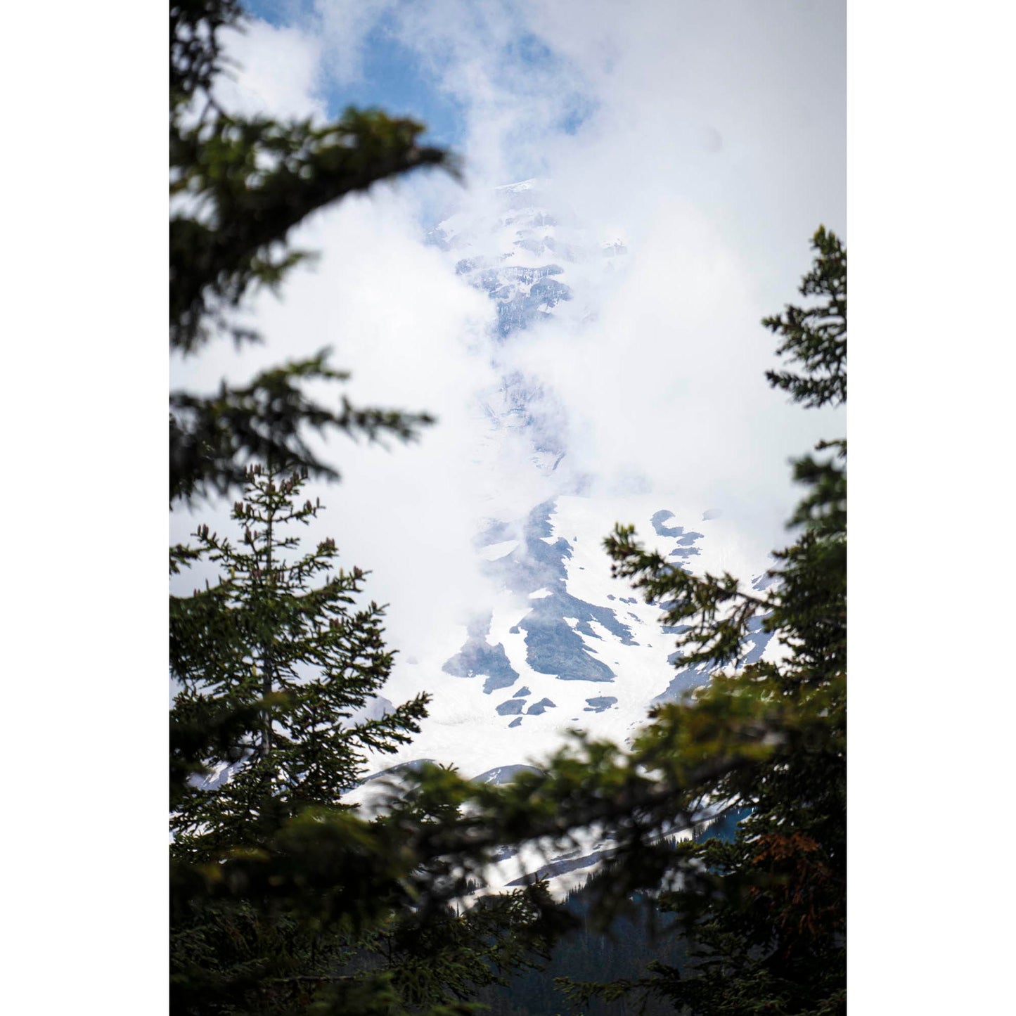 June 23 2025 - Mt Rainier National Park, Washington