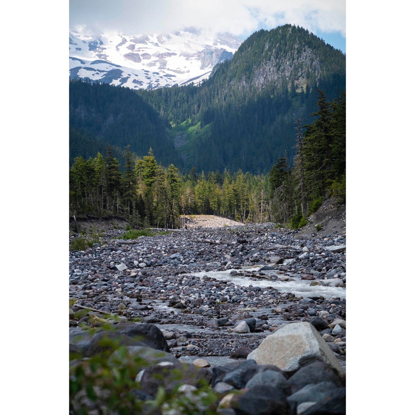 June 23 2025 - Mt Rainier National Park, Washington