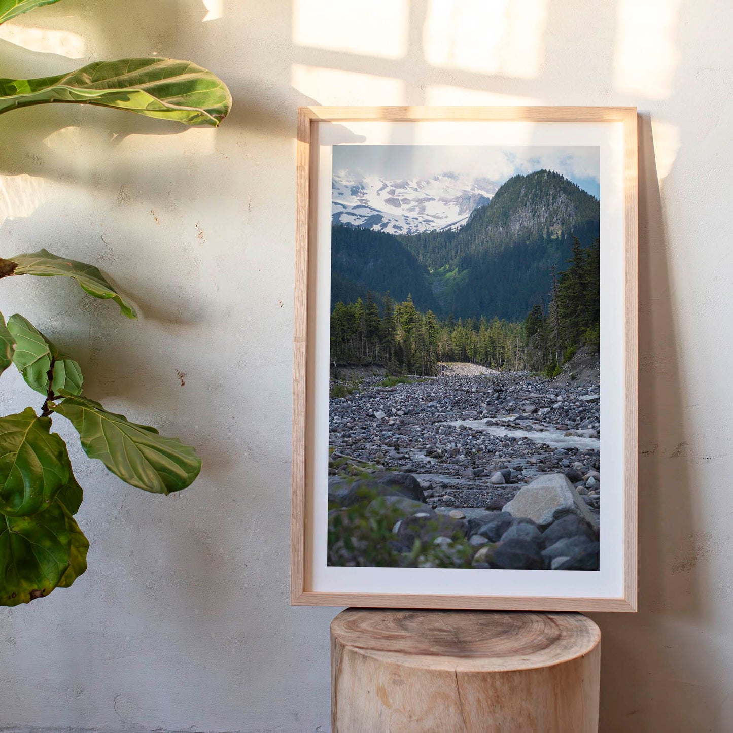 June 23 2025 - Mt Rainier National Park, Washington