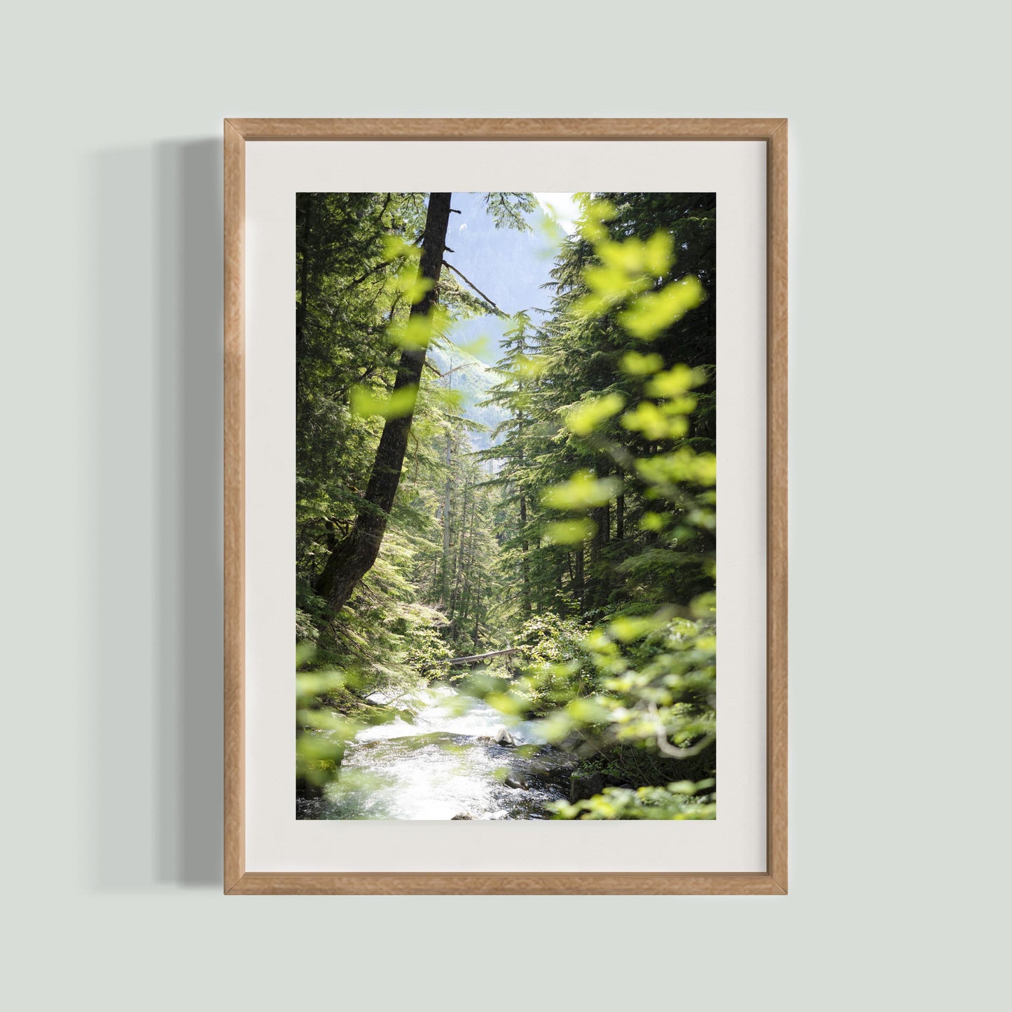 June 23 2025 - Mt Rainier National Park, Washington