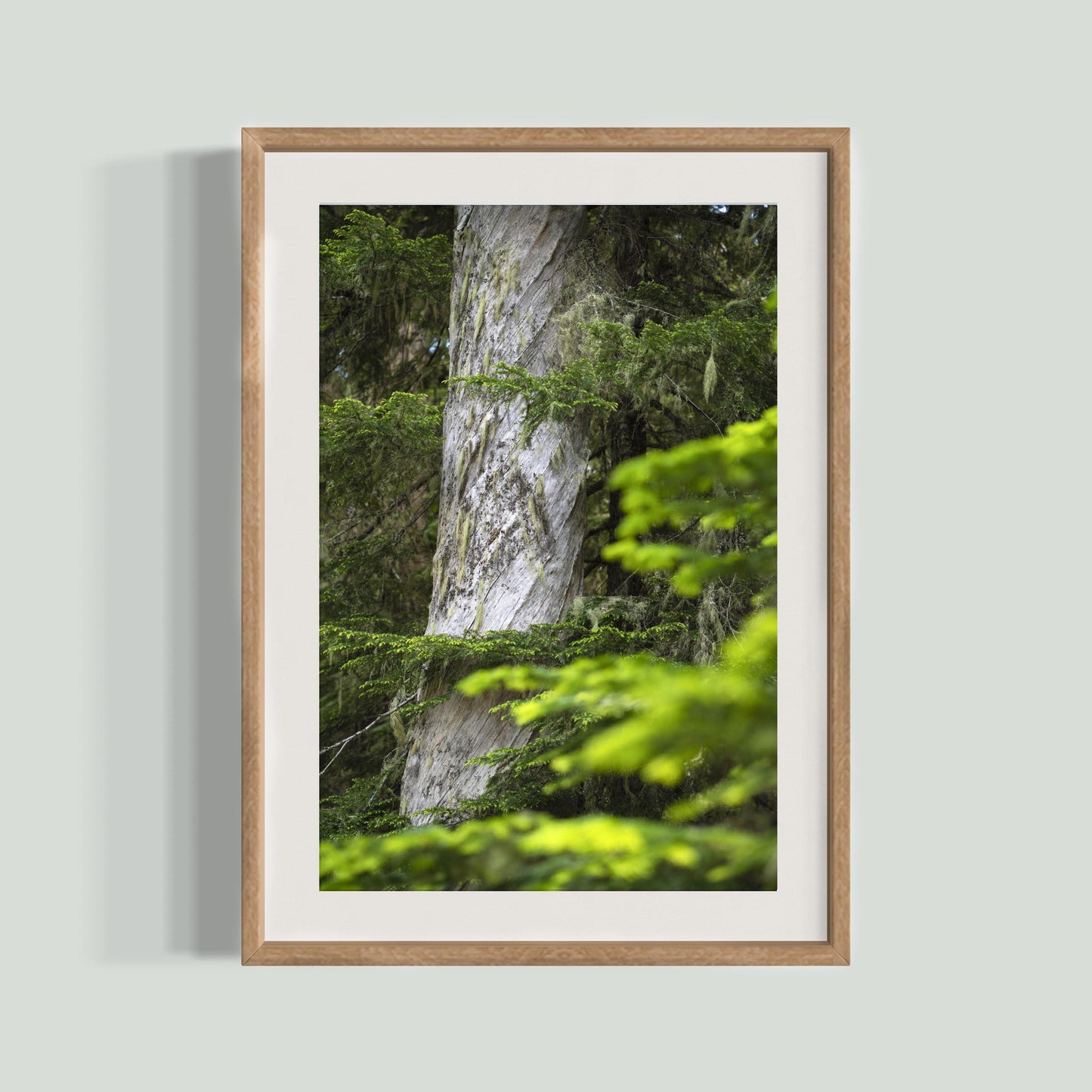 June 23 2025 - Mt Rainier National Park, Washington