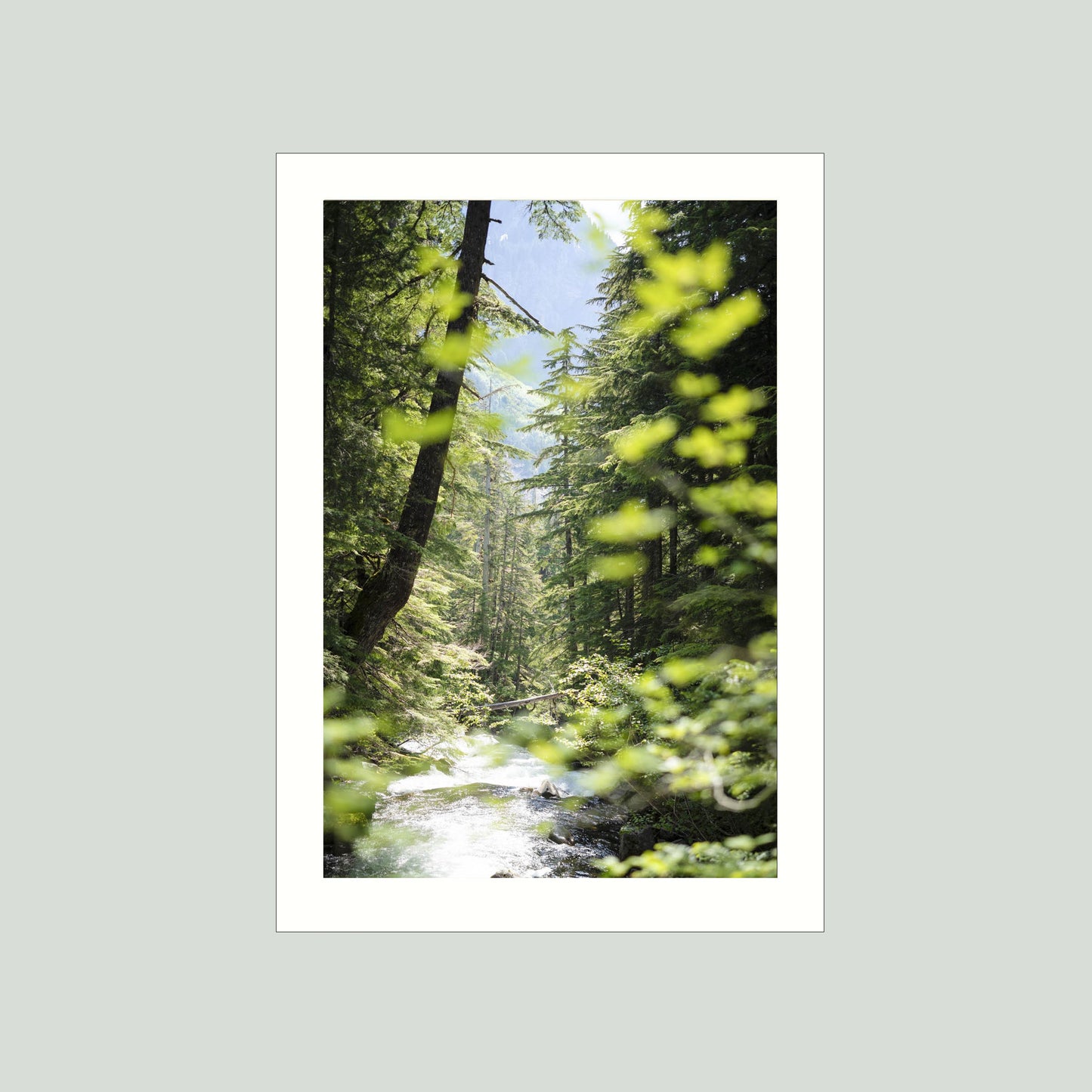 June 23 2025 - Mt Rainier National Park, Washington