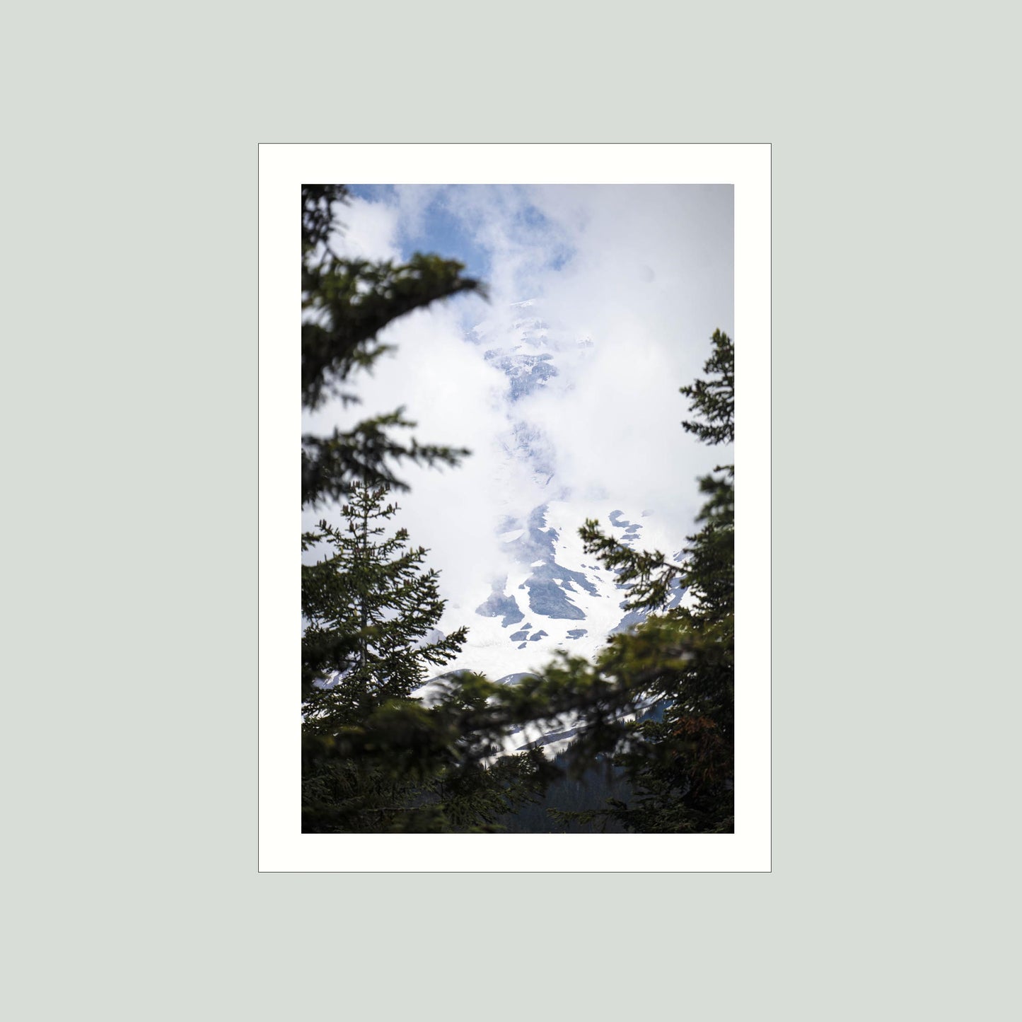 June 23 2025 - Mt Rainier National Park, Washington