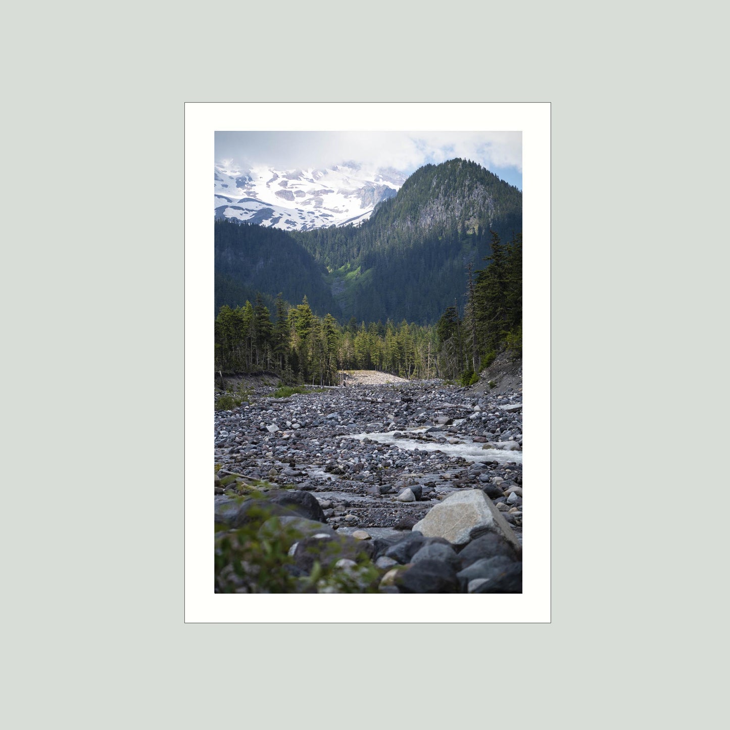June 23 2025 - Mt Rainier National Park, Washington