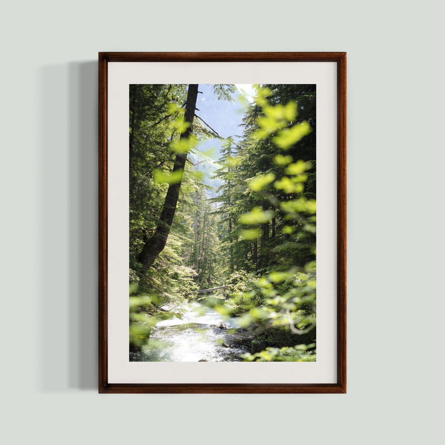 June 23 2025 - Mt Rainier National Park, Washington