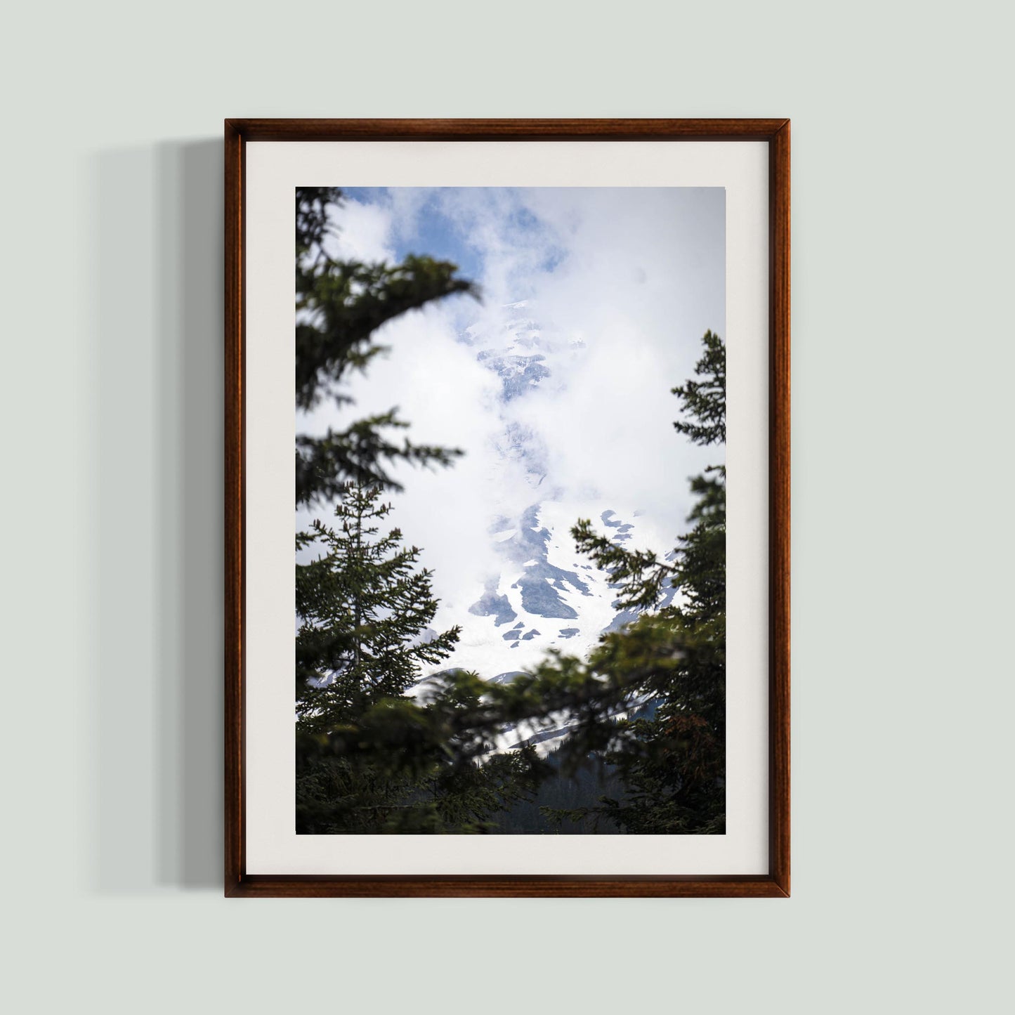 June 23 2025 - Mt Rainier National Park, Washington