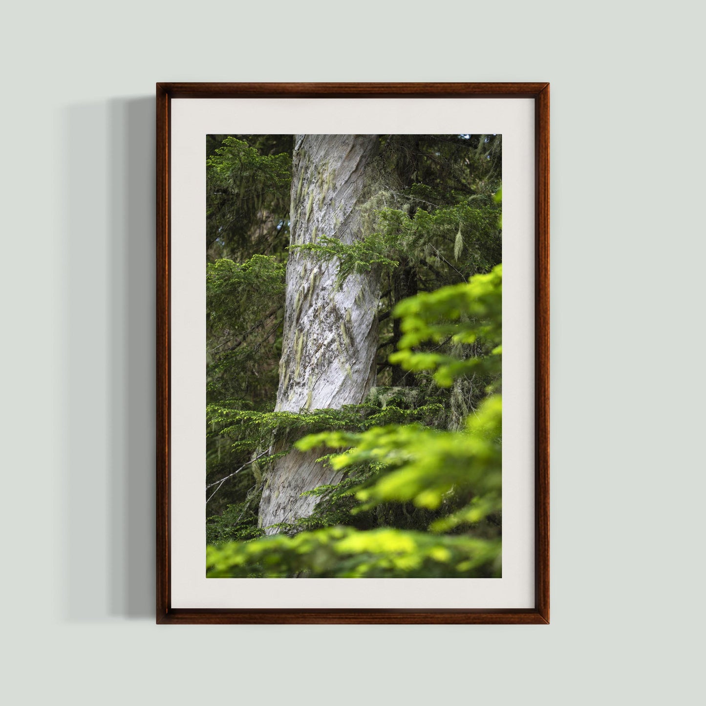 June 23 2025 - Mt Rainier National Park, Washington