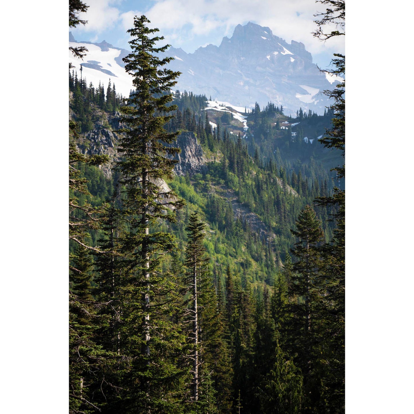 June 24 2025 - Mt Rainier National Park, Washington