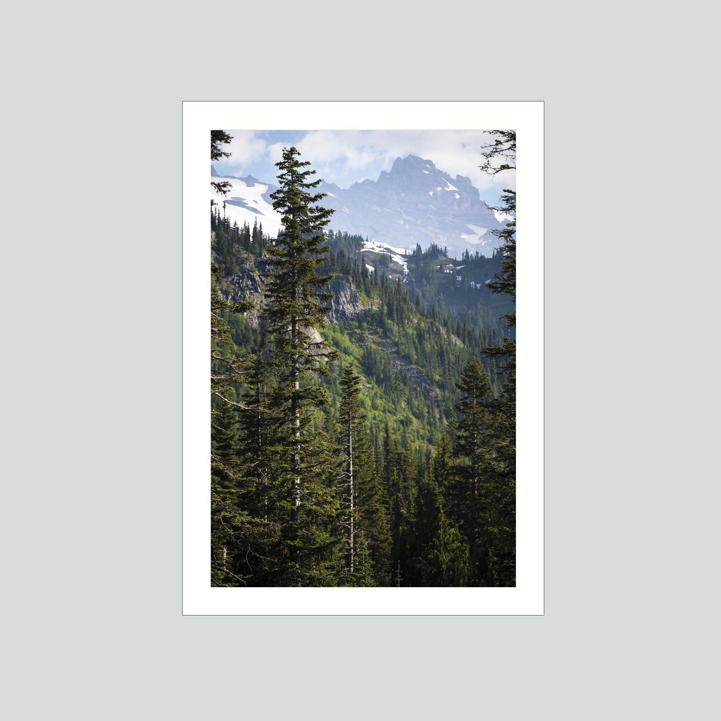 June 24 2025 - Mt Rainier National Park, Washington