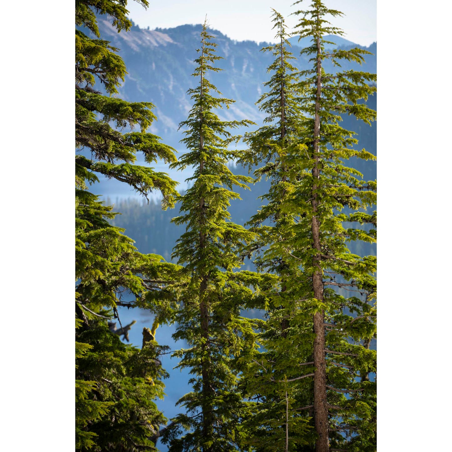June 25 2025 - Crater Lake National Park,  Oregon