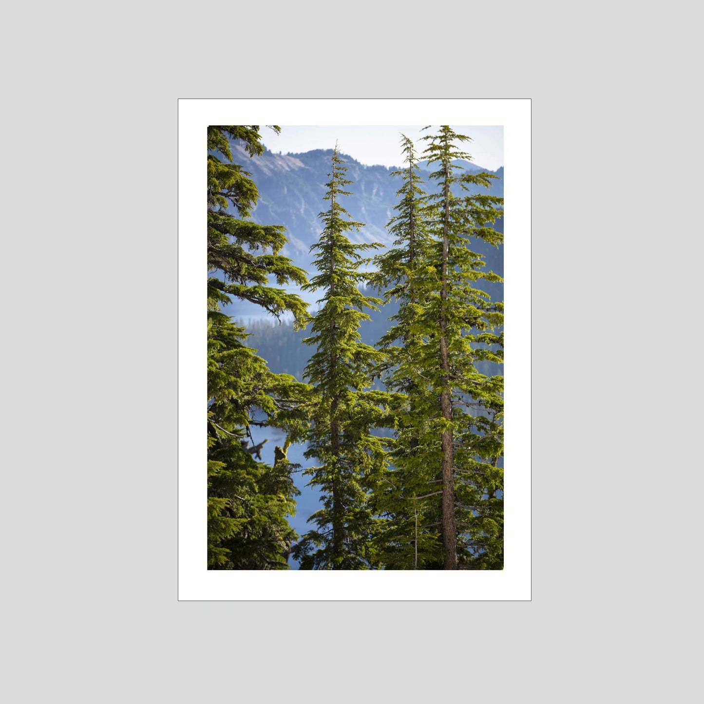 June 25 2025 - Crater Lake National Park,  Oregon