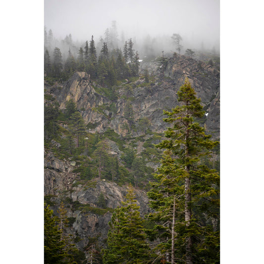 March 31 2026 - Plumas National Forest, California