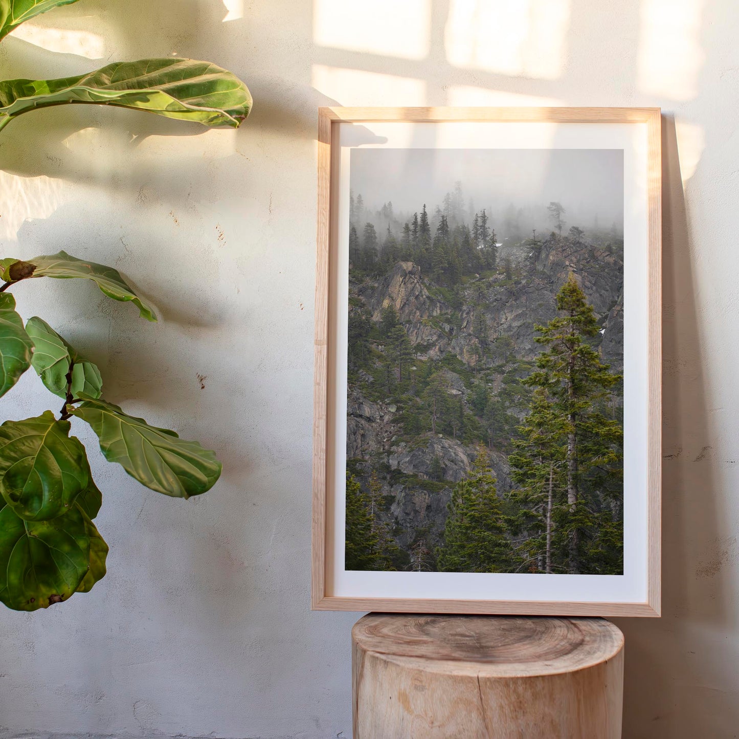 March 31 2026 - Plumas National Forest, California