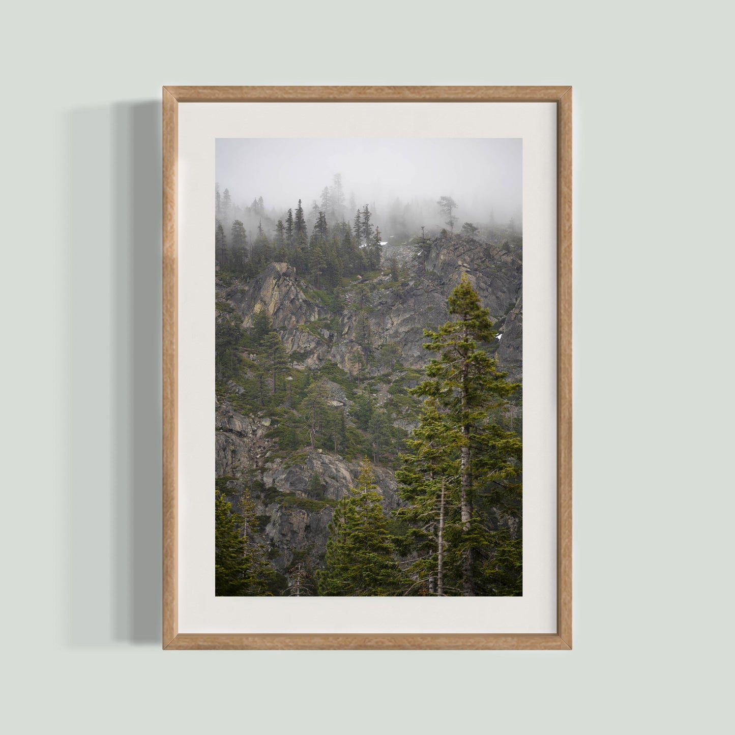 March 31 2026 - Plumas National Forest, California