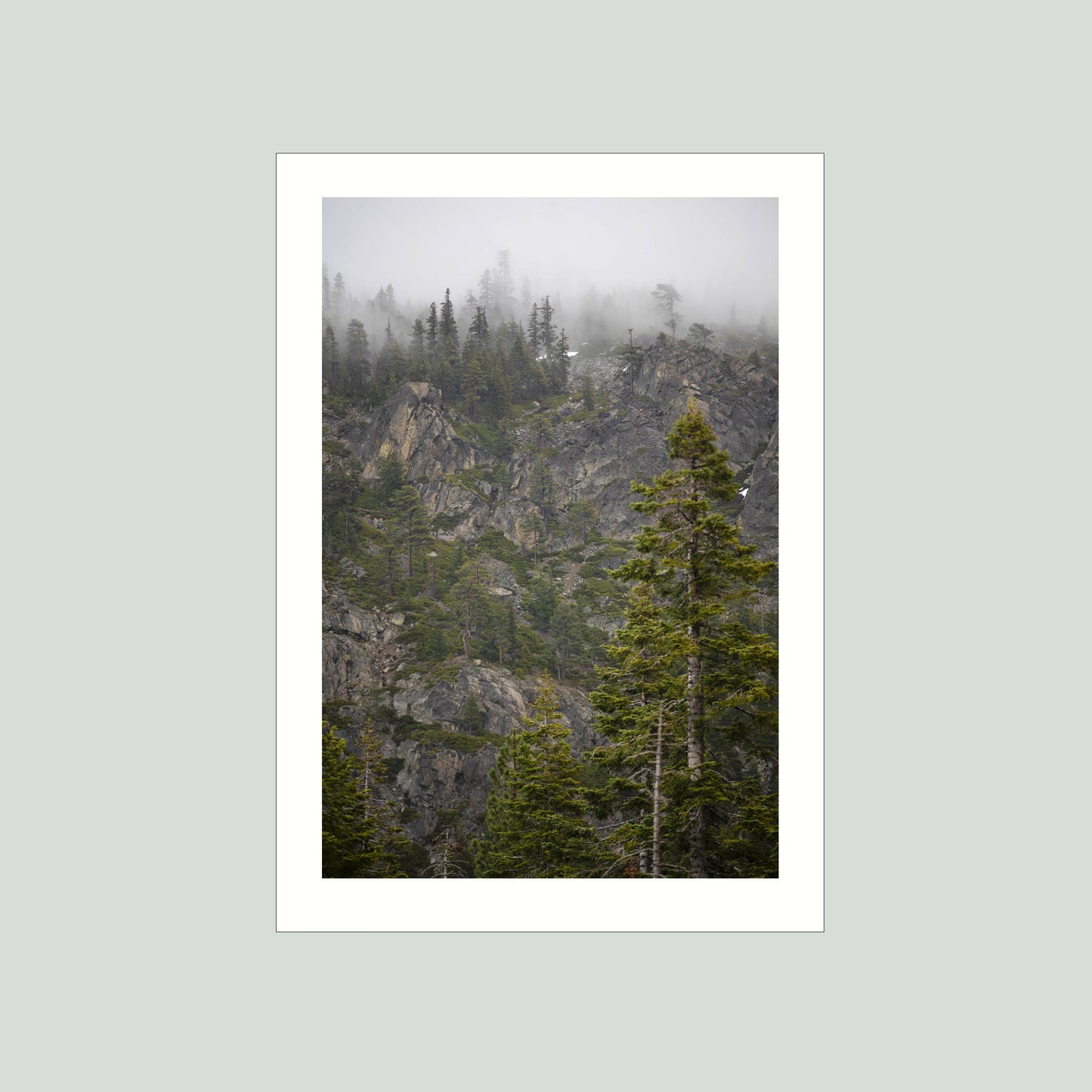 March 31 2026 - Plumas National Forest, California