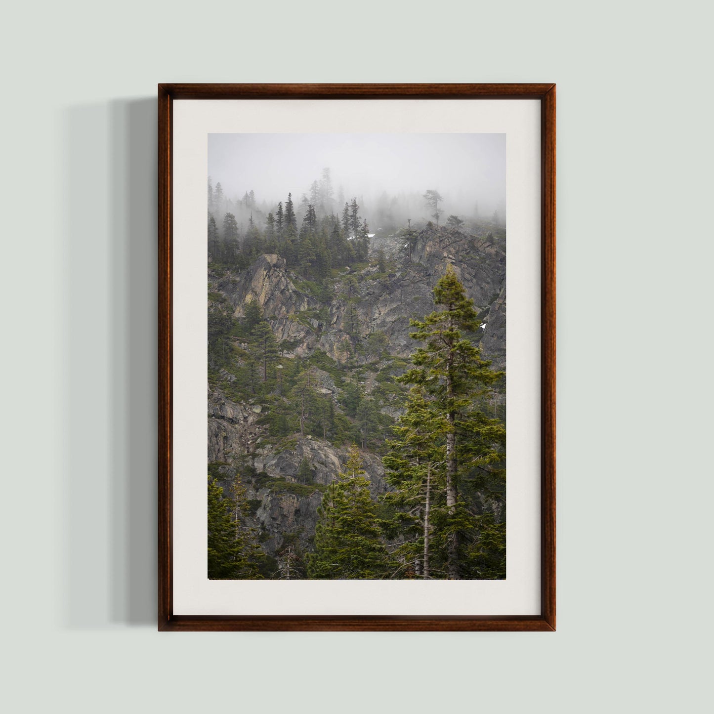 March 31 2026 - Plumas National Forest, California
