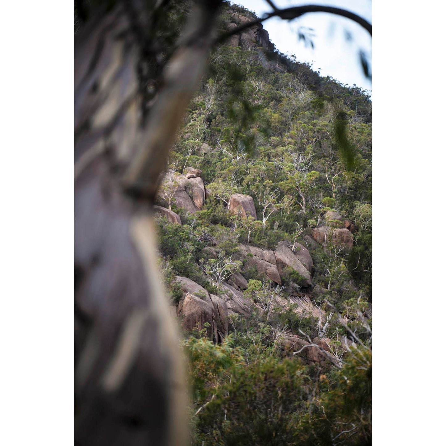 May 5 2026 - Freycinet National Park, Australia