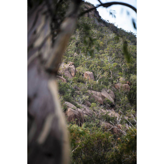 May 5 2026 - Freycinet National Park, Australia