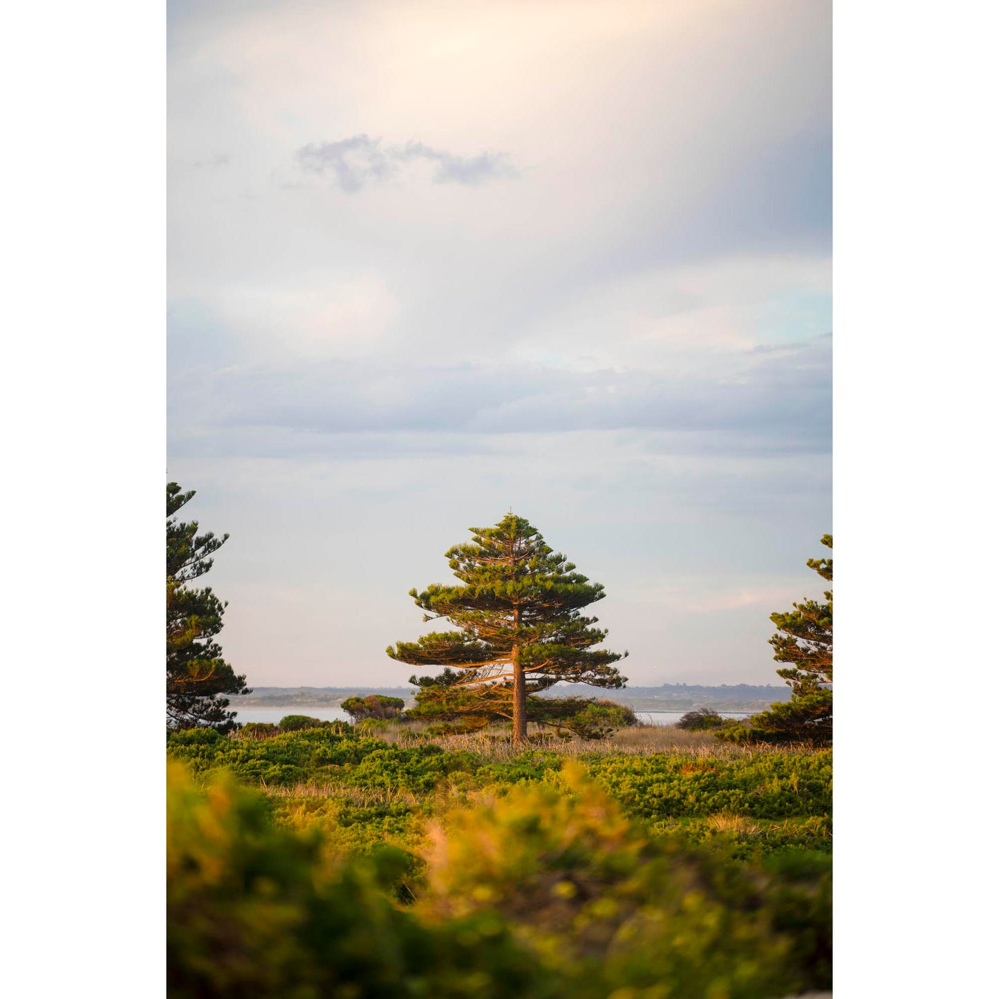 May 13 2026 - Port Fairy, Australia