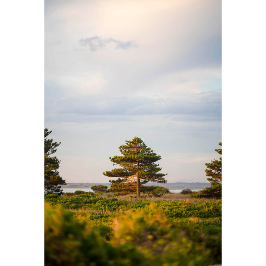 May 13 2026 - Port Fairy, Australia