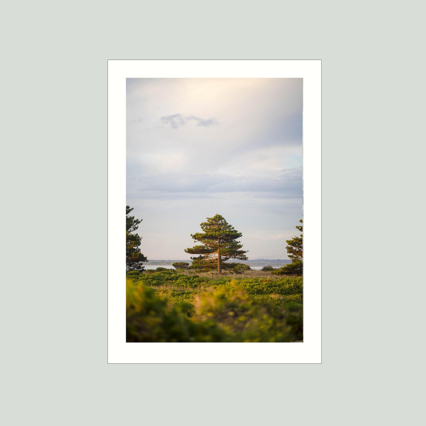 May 13 2026 - Port Fairy, Australia