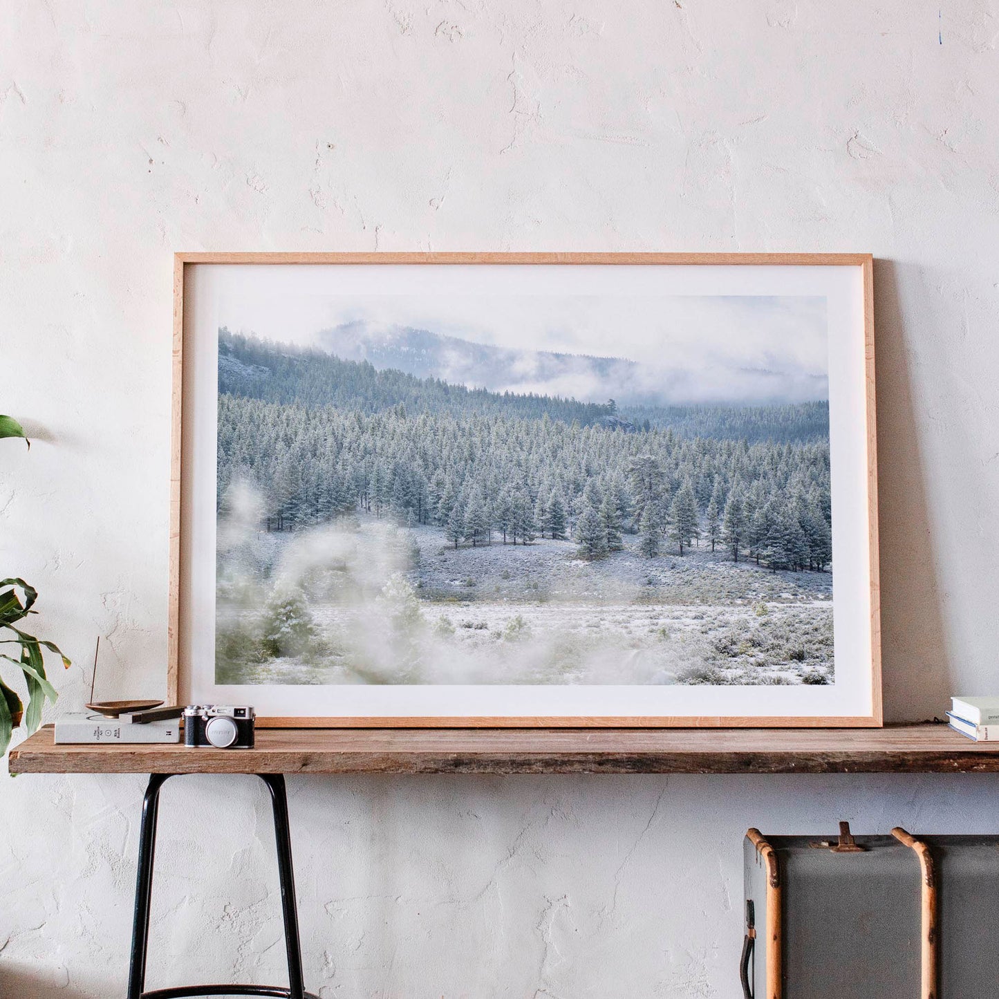 May 19, 2019 - Truckee, California