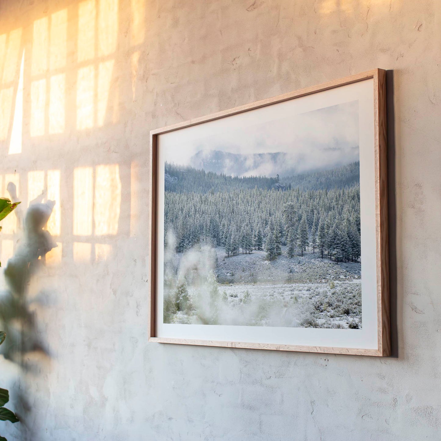 May 19, 2019 - Truckee, California
