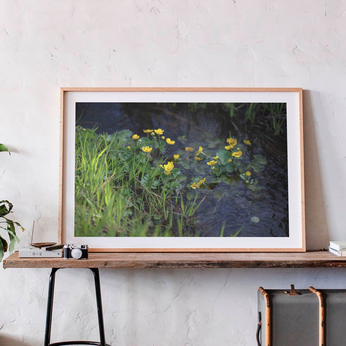 May 4, 2016 - Isle of Skye, Scotland