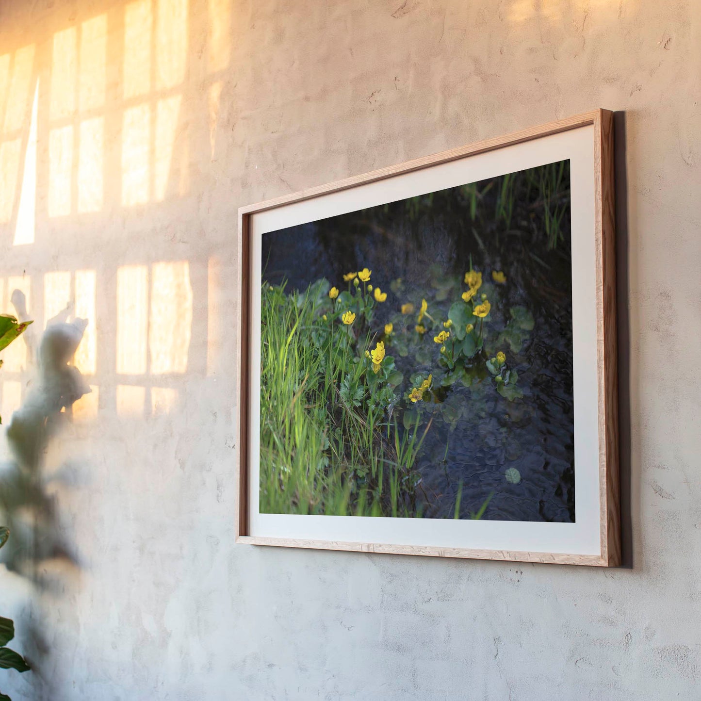 May 4, 2016 - Isle of Skye, Scotland