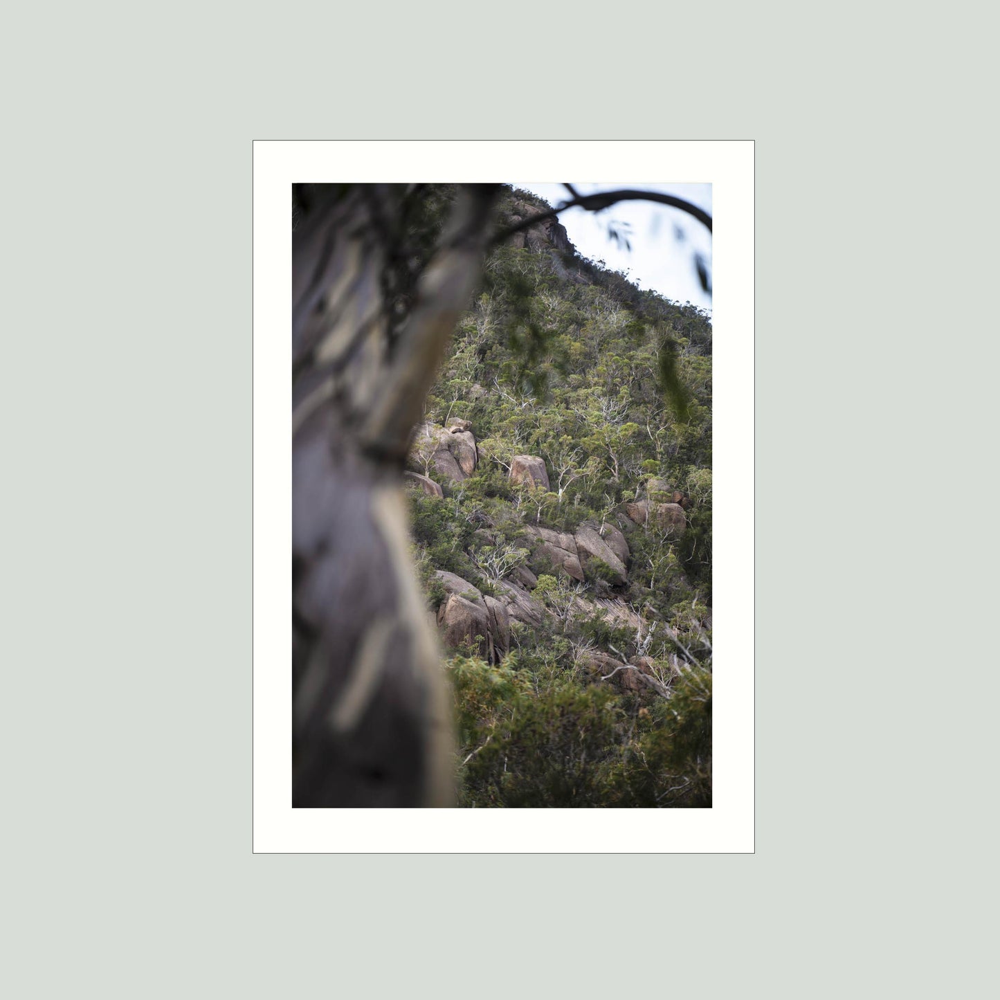 May 5 2026 - Freycinet National Park, Australia