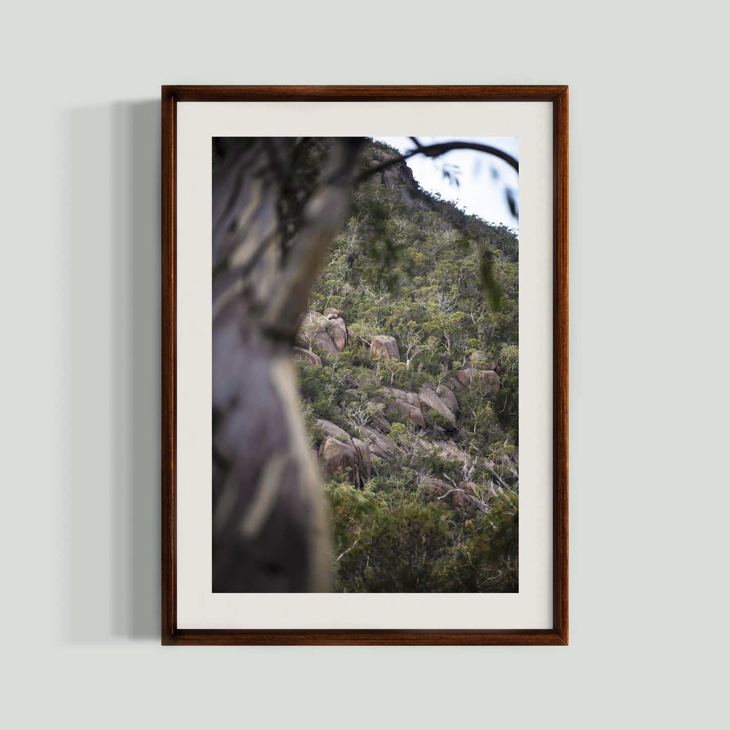 May 5 2026 - Freycinet National Park, Australia