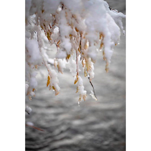 October 18, 2021 - Truckee, California