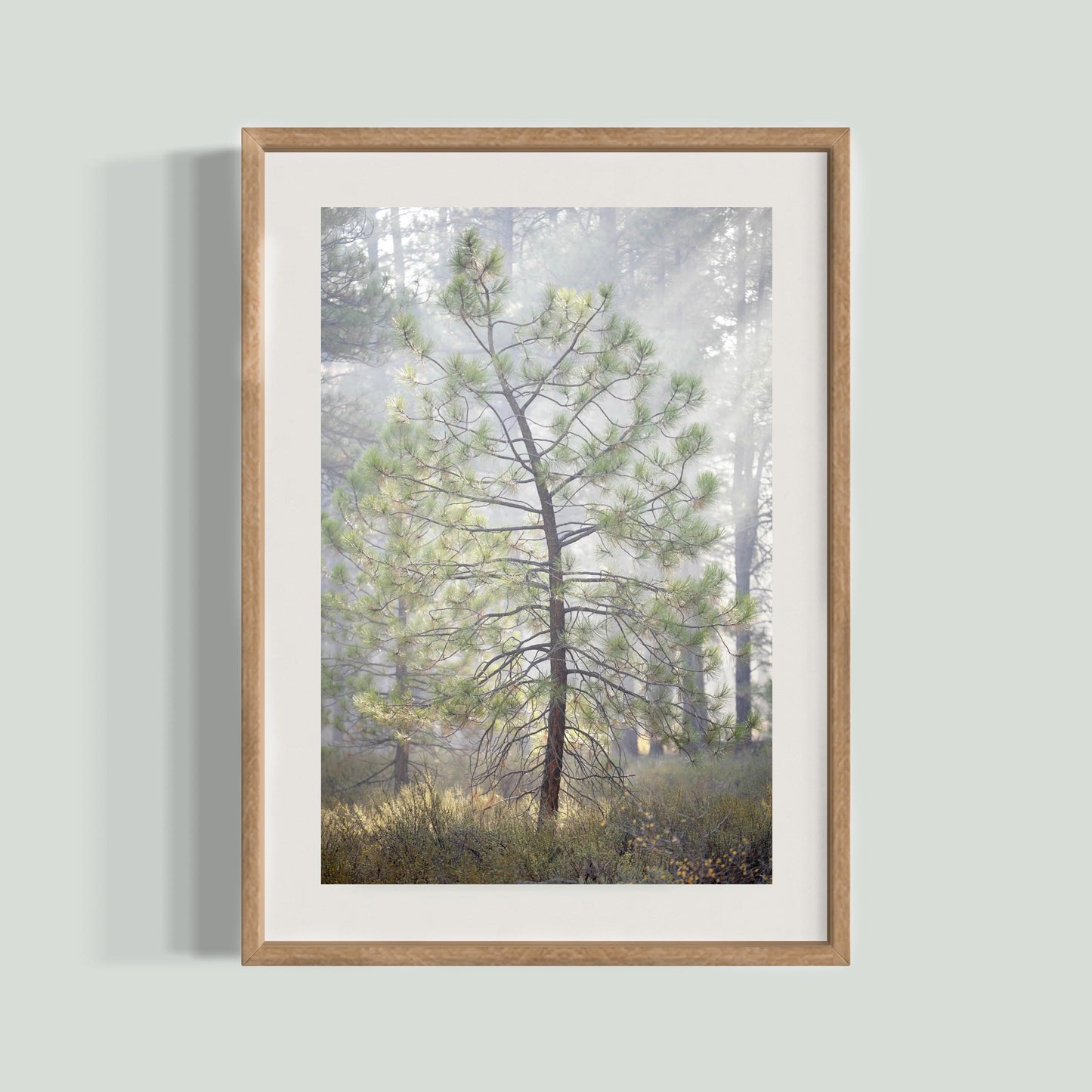 October 9 2025 - Truckee, California
