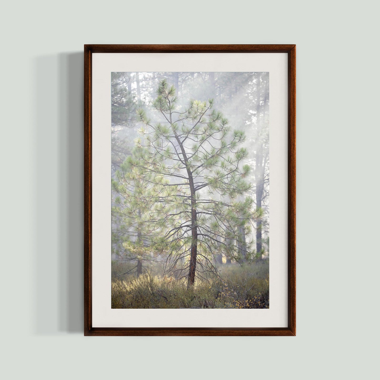 October 9 2025 - Truckee, California